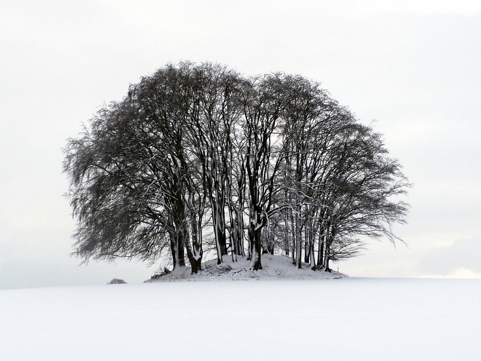 Wintertime.jpg