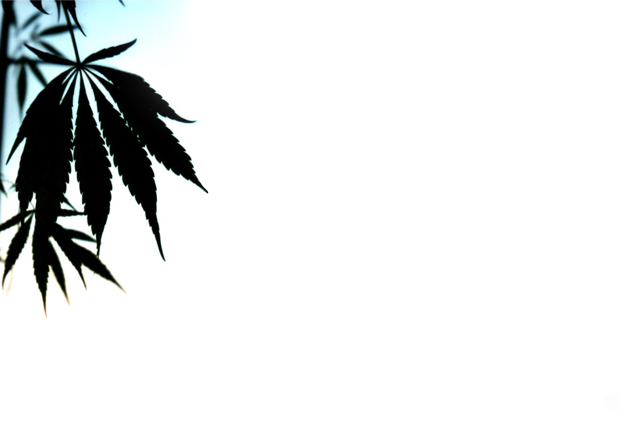 marijuana_leaf.jpg