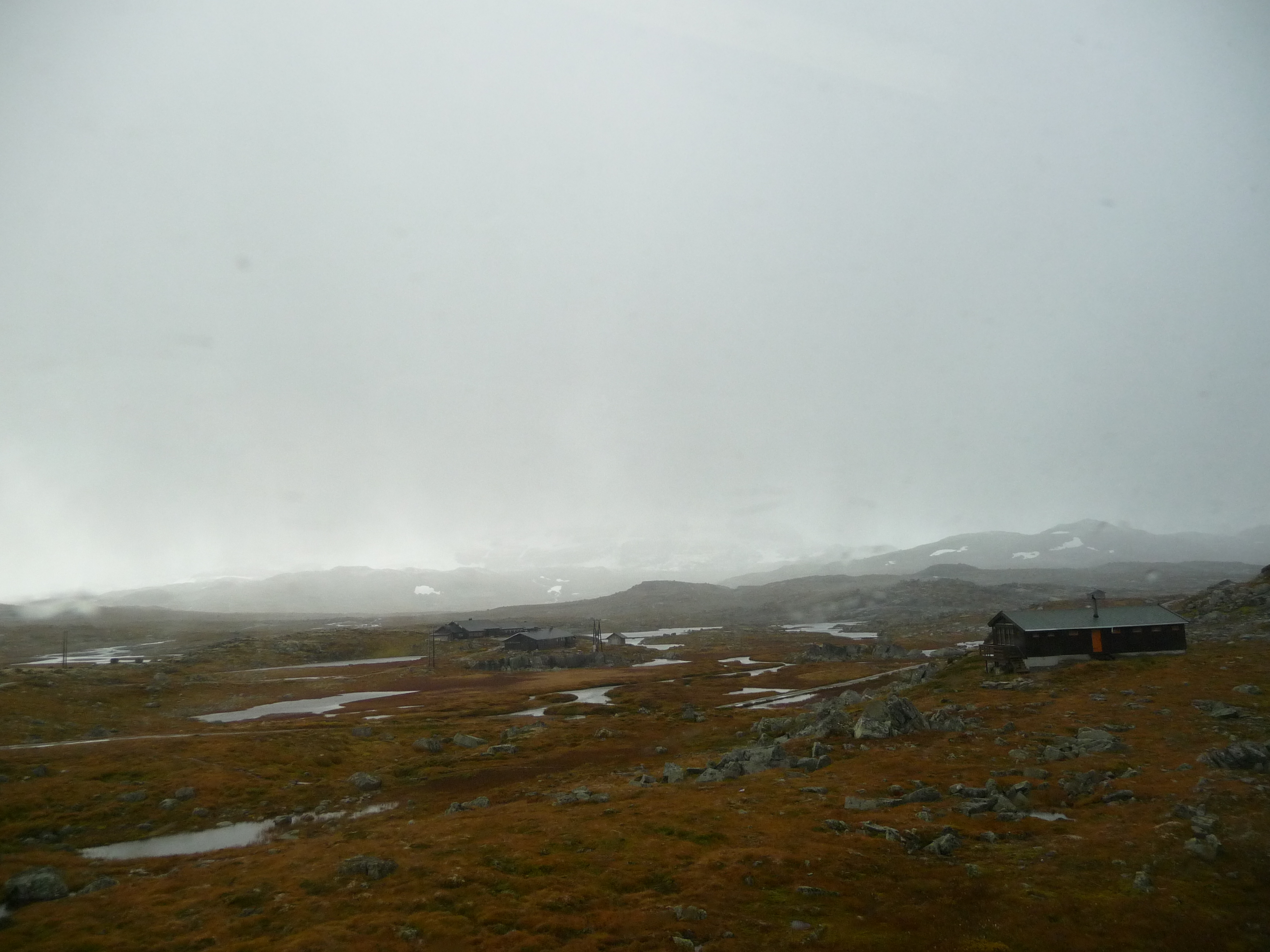 P1020489.JPG
