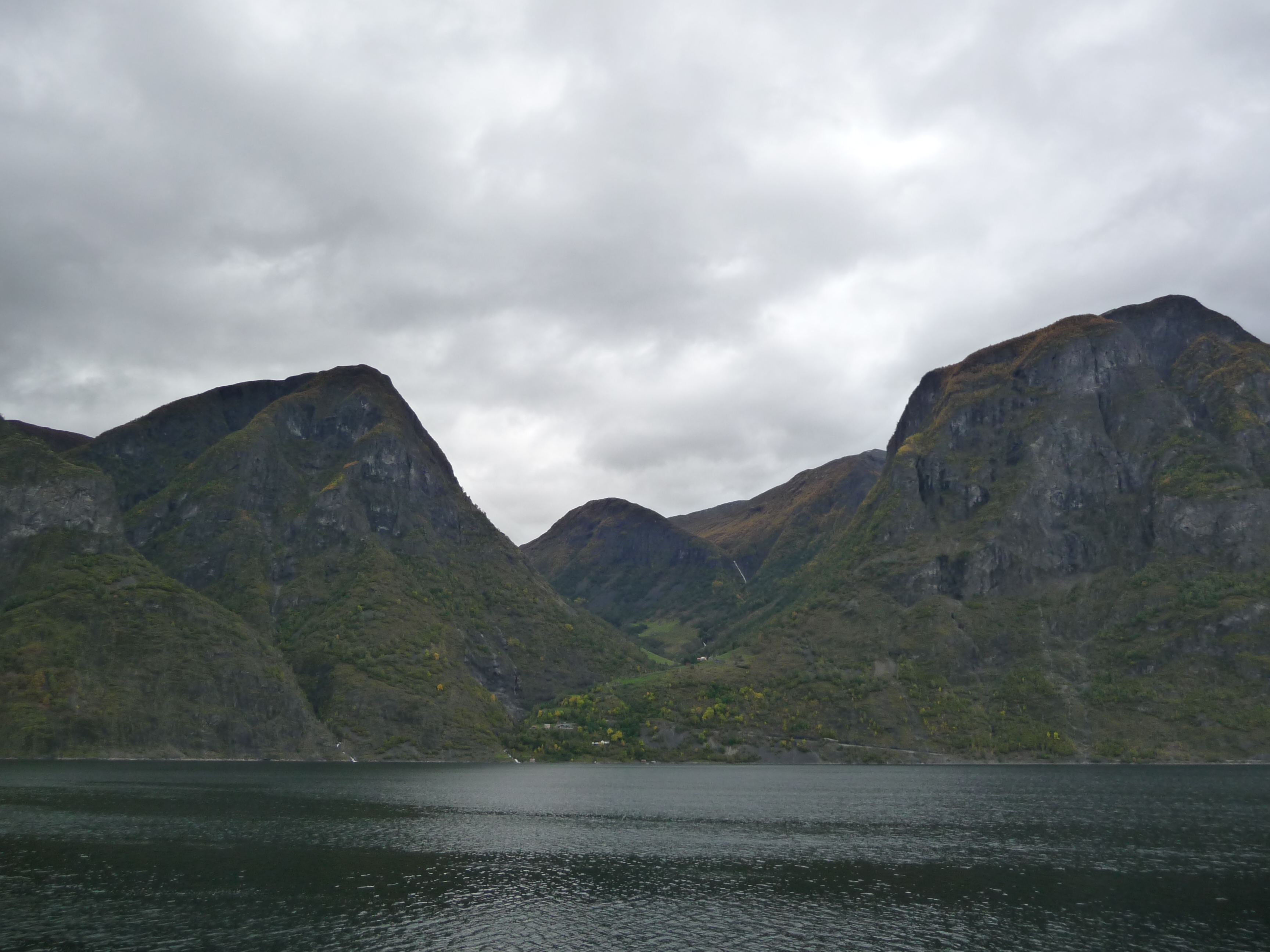 P1020991.JPG
